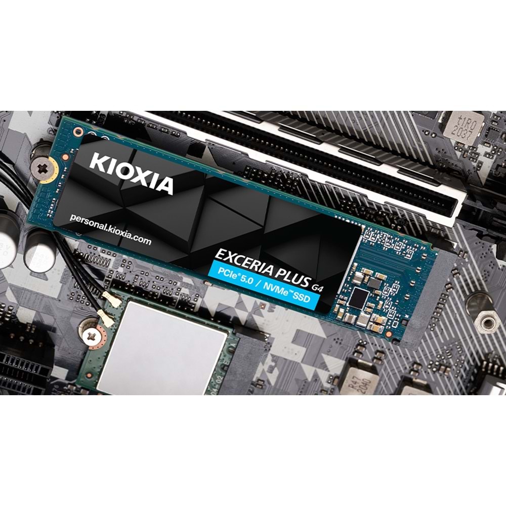 2TB KIOXIA EXCERIA PLUS G4 M.2 NVMe GEN5 10000/8200MB/s LVD10Z002TG8