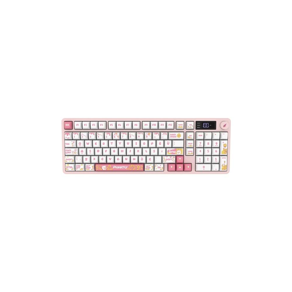 HAWK GAMING HK258WP KABLOSUZ BEYAZ PEMBE KLAVYE