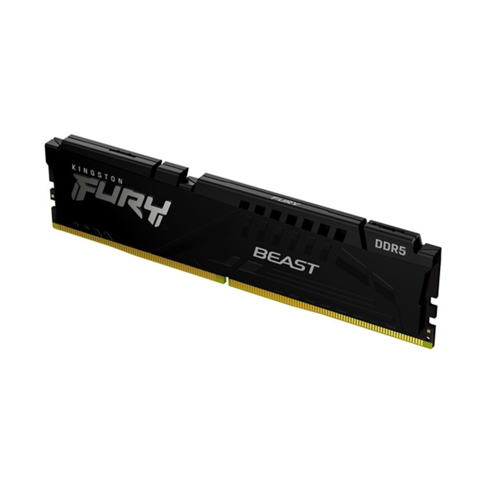 8GB 5600MT/s DDR5 CL36 DIMM Beast Black EXPO Turkey