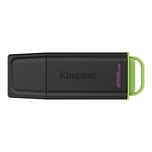 Kingston 256GB Portable USB 3.2 Gen 1 DataTraveler Exodia Black/Green
