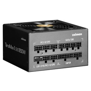 ZALMAN ZM850-TMX2SE (TeraMaxIISE) 80+ GOLD POWER SUPPLY