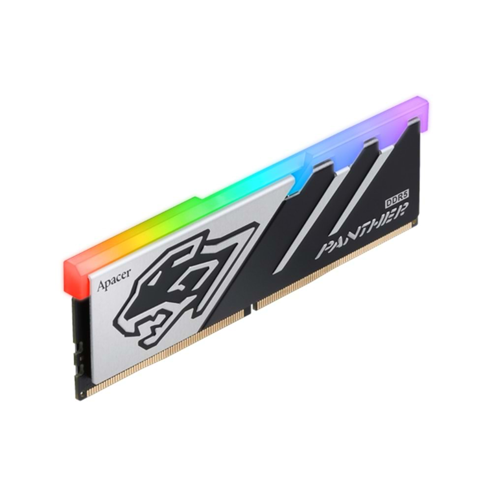 Apacer Panther RGB 16GB 1x16GB 6200MHz CL40 DDR5 Gaming Ram (AH5U16G62C5329BAA-1)