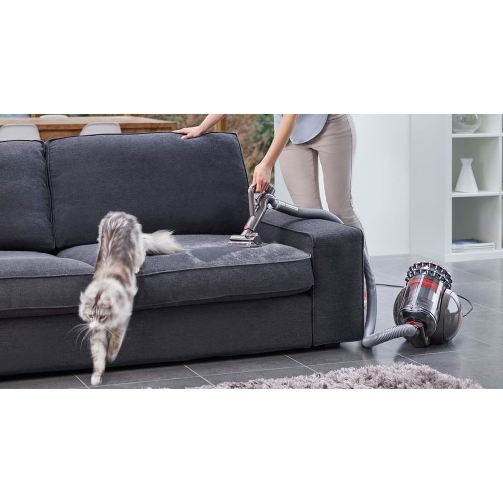 DYSON CINETIC BIG BALL ABSOLUTE 2 700W SUPURGE